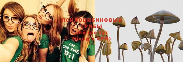 ПСИЛОЦИБИНОВЫЕ ГРИБЫ Гвардейск
