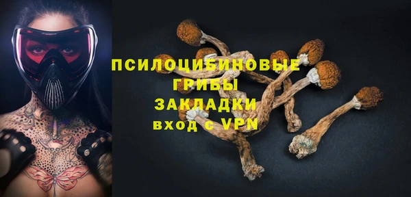 ECSTASY Покров