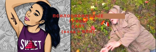 ECSTASY Покров