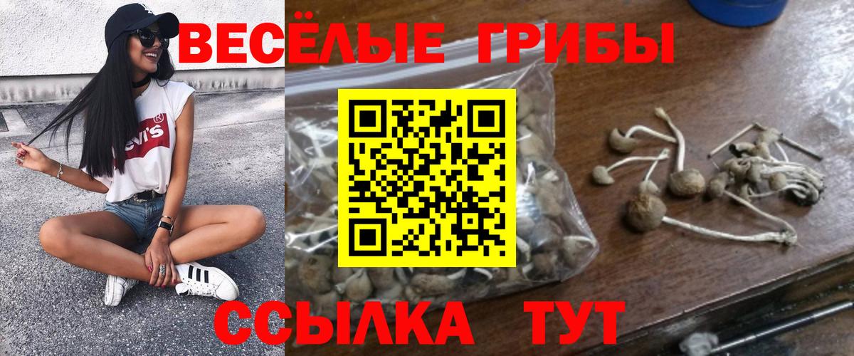 Псилоцибиновые грибы прущие грибы Тихвин