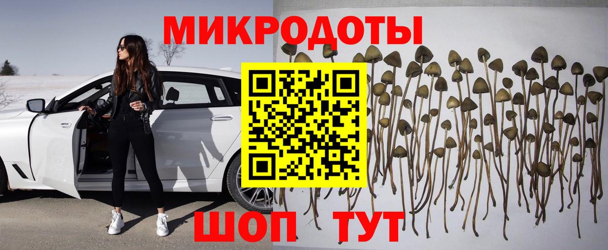 Тихвин  Псилоцибиновые грибы Magic Shrooms  Вход с VPN 