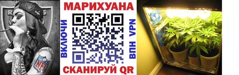 Конопля THC 21%  купить наркотики сайты  Тихвин 